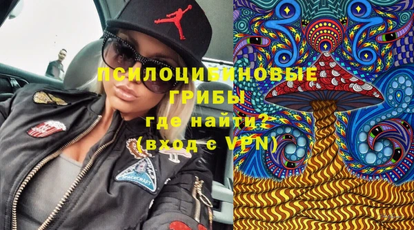 ГАЛЛЮЦИНОГЕННЫЕ ГРИБЫ Костерёво