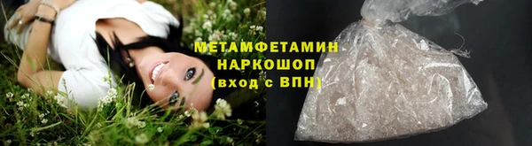 ГАЛЛЮЦИНОГЕННЫЕ ГРИБЫ Костерёво