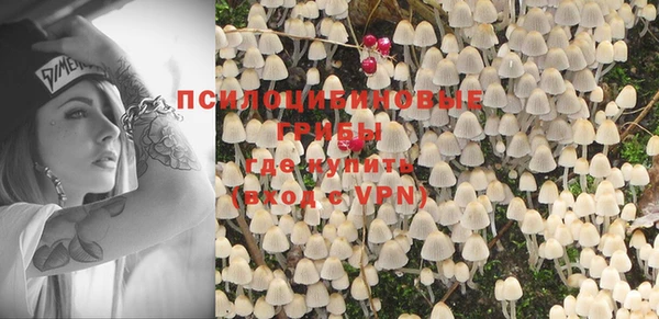 бошки Кодинск