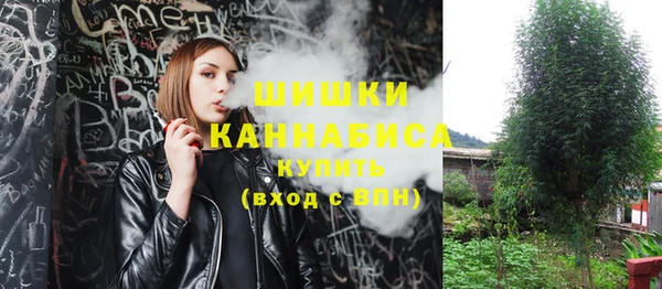ГАЛЛЮЦИНОГЕННЫЕ ГРИБЫ Костерёво