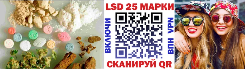купить закладку  Ядрин  LSD-25 экстази кислота 
