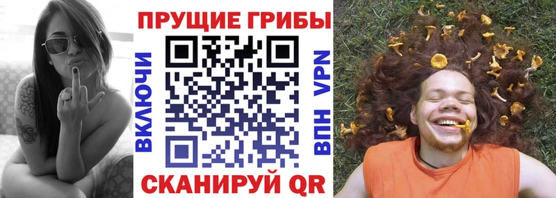 Галлюциногенные грибы прущие грибы  MEGA ТОР  Ядрин 