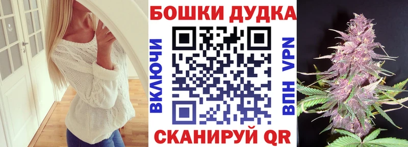 где купить   даркнет клад  Бошки Шишки семена  Ядрин 